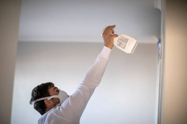 Best Residential Mold Removal  in Catonsville, MD