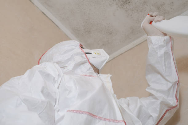 Best Mold Remediation Experts  in Catonsville, MD